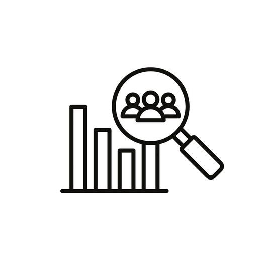 audience insights